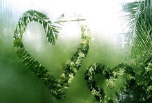 包含罗马迎NBA总决赛关键赛，赛前伤情更新，气氛紧张，心理建设被强调的词条ng28